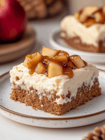 Vegan Applesauce Cake