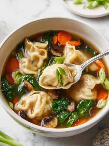 Potsticker Soup Recipe