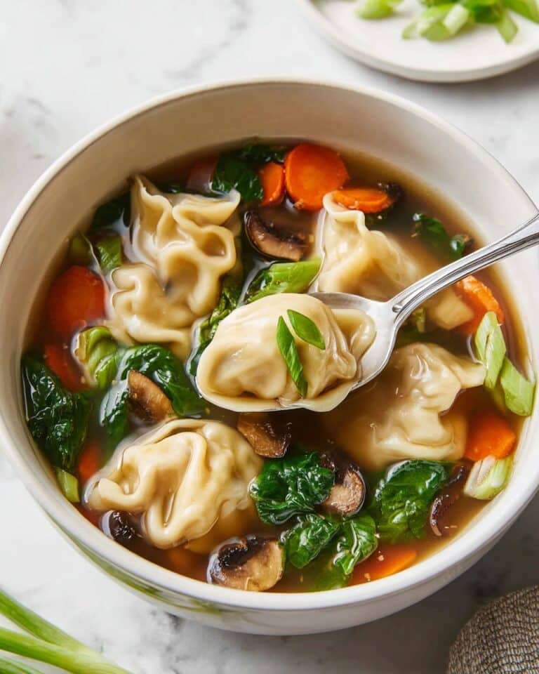 Potsticker Soup Recipe