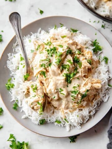Crockpot Chicken and Gravy Recipe