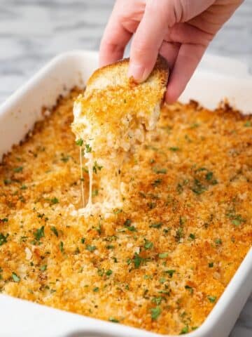 Chicken Parmesan Dip Recipe