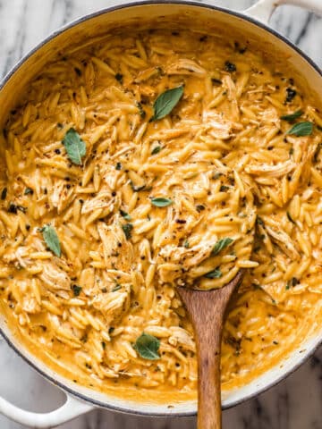 Creamy Tomato Orzo with Chicken Recipe