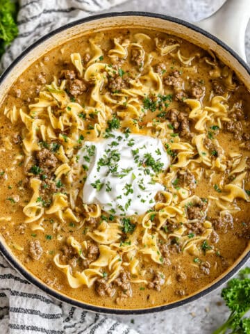 Beef Stroganoff Soup Recipe