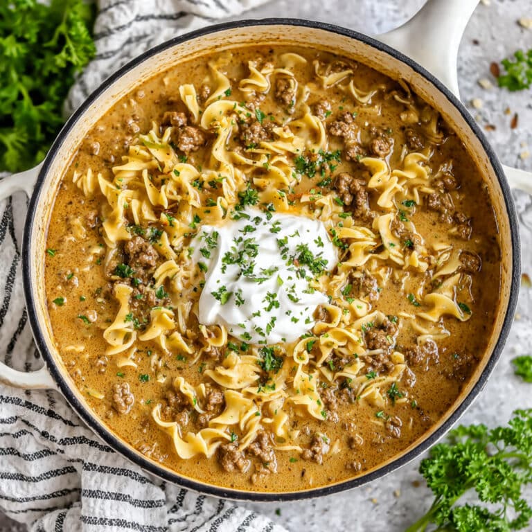 Beef Stroganoff Soup Recipe