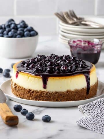 Creamy Blueberry Cheesecake Recipe