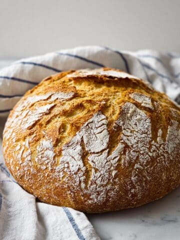 Crusty Roasted Garlic and Rosemary Bread Recipe