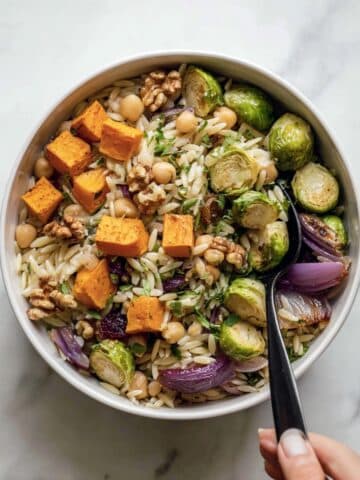 Vegan Roasted Veggie Orzo Salad Recipe