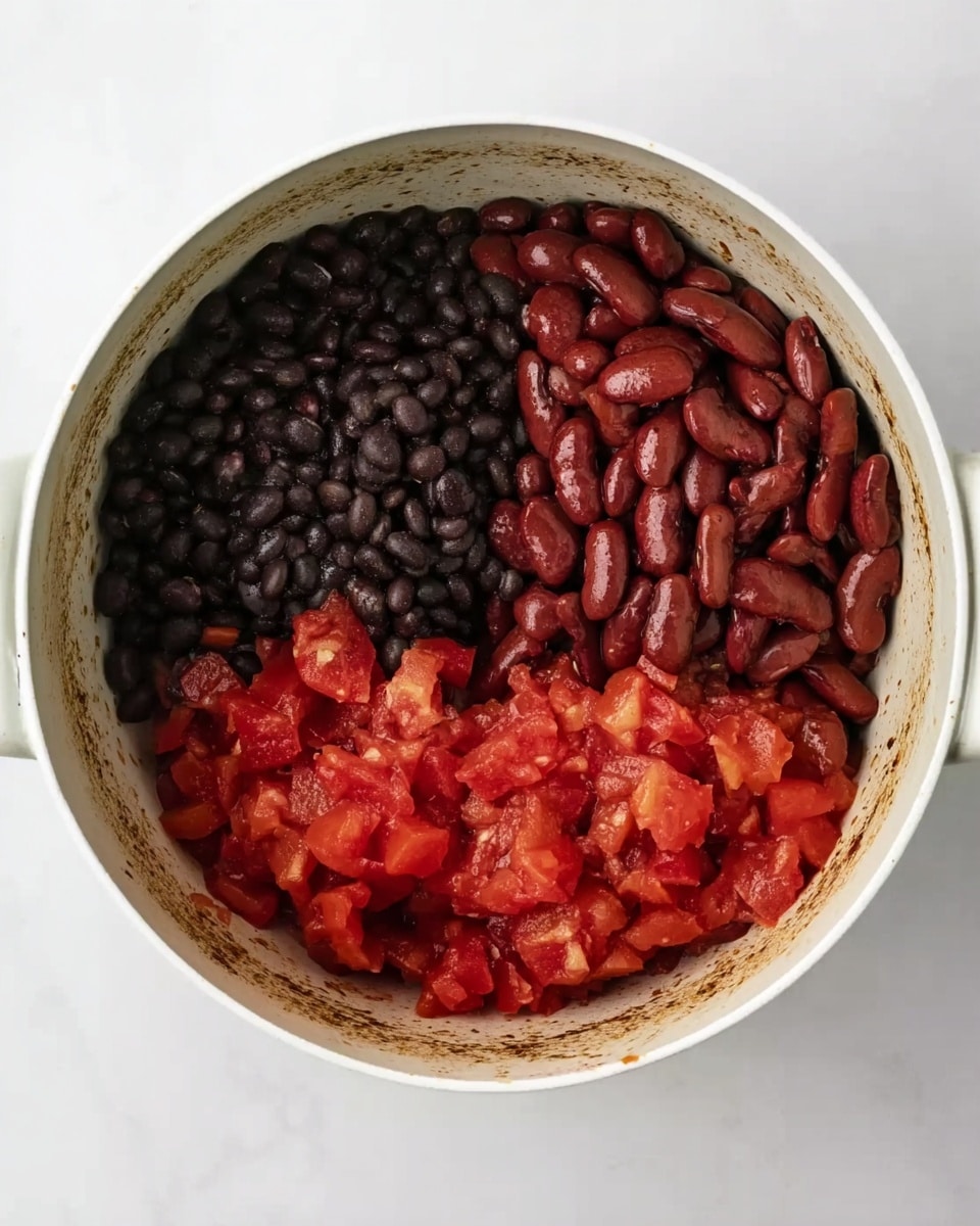 Inside a white pot resting on a white marbled surface, three layers of ingredients are placed side by side without mixing. On the left side, there is a section of shiny dark black beans with smooth texture and small size. Next to it, on the upper right side, is a pile of larger kidney beans with a rich reddish-brown color and smooth surface. On the lower right side, there is a layer of bright red diced tomatoes, juicy and slightly soft in texture with visible tomato pieces and some sauce. The inside sides of the pot have some brown stains, showing cooking or seasoning marks. photo taken with an iphone --ar 4:5 --v 7