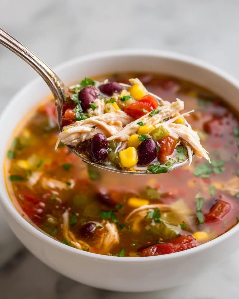 Crock-Pot Chicken Tortilla Soup Recipe