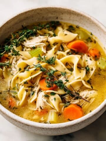 Instant Pot Chicken Noodle Soup Recipe