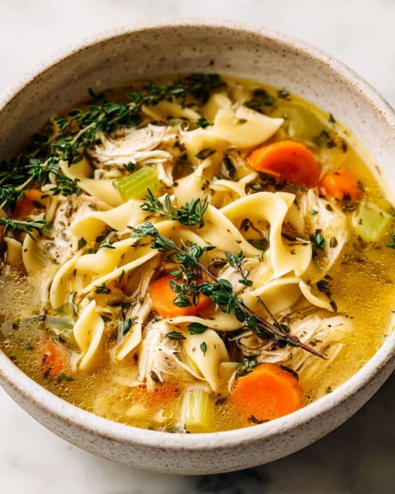 Instant Pot Chicken Noodle Soup Recipe