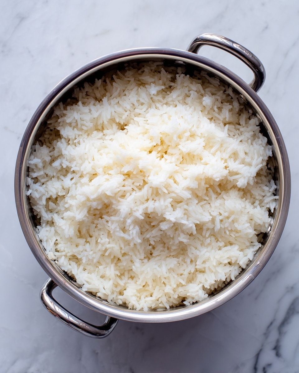 A close-up view of a shiny metal pot filled with fluffy white cooked rice. The rice fills the pot almost to the top, with individual grains visible, showing a soft and slightly sticky texture. The pot has two metal handles on either side, with the left handle resting on a clear white marbled surface. The scene is well-lit, highlighting the steam and freshness of the rice inside the pot photo taken with an iphone --ar 4:5 --v 7
