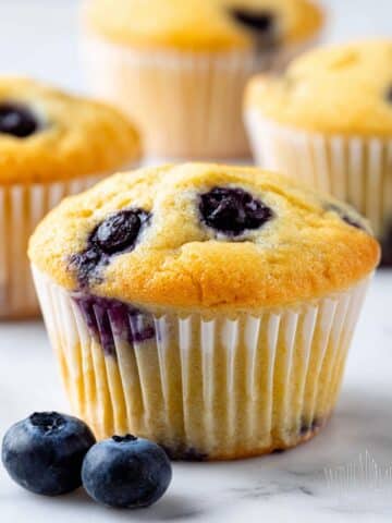 Coconut Flour Blueberry Muffins Recipe