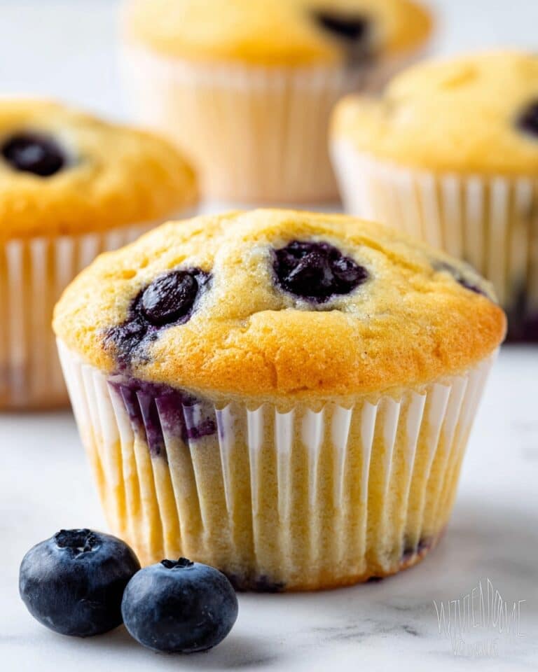 Coconut Flour Blueberry Muffins Recipe