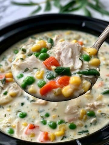 Slow Cooker Chicken Pot Pie Recipe