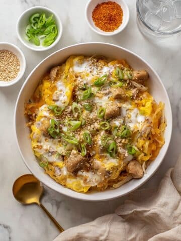 15-Minute Oyakodon (Japanese Chicken and Egg Rice Bowl) Recipe