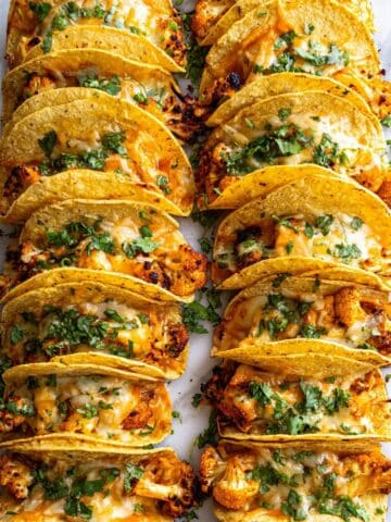 Homemade Mini Tacos Recipe