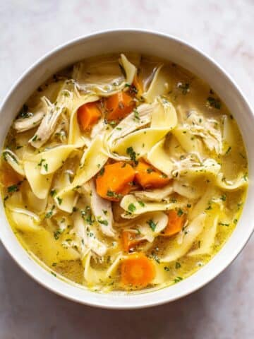Homemade Instant Pot Chicken Noodle Soup Recipe