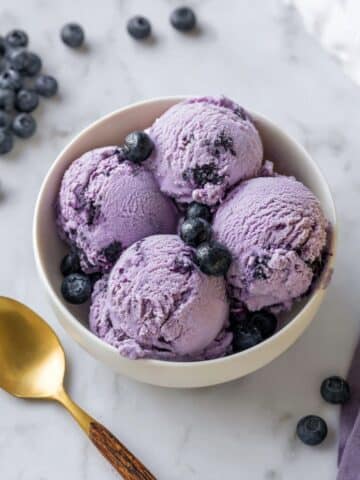 Homemade Blueberry Ice Cream Recipe