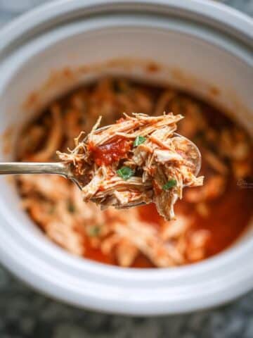 Crockpot Salsa Chicken Recipe