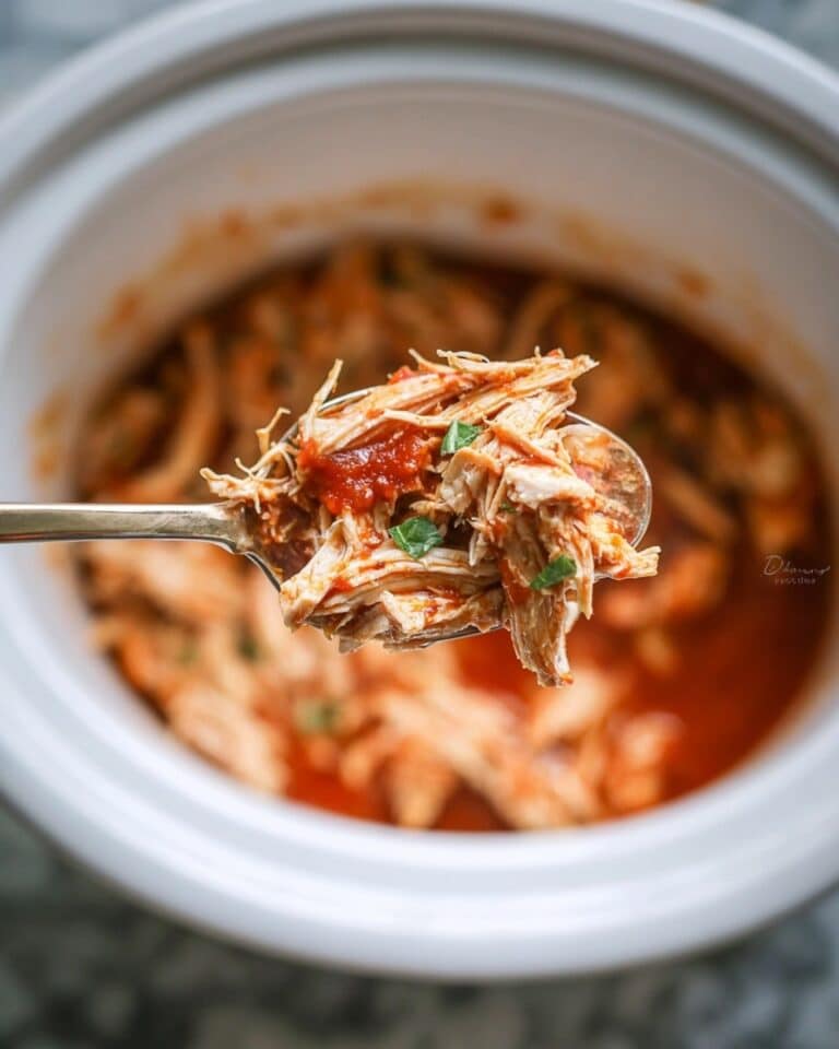 Crockpot Salsa Chicken Recipe