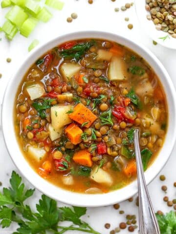 Lentil Vegetable Soup Recipe