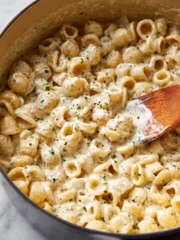 Creamy Ditalini Pasta with Boursin Garlic and Herb Cheese Recipe