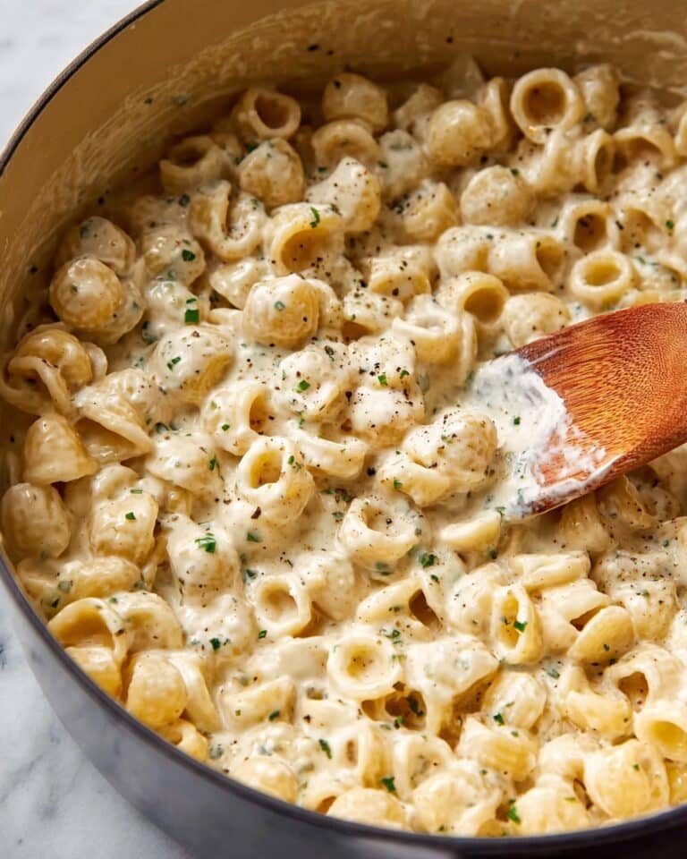 Creamy Ditalini Pasta with Boursin Garlic and Herb Cheese Recipe